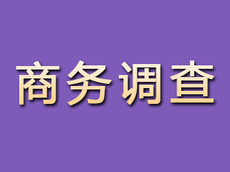 连平商务调查